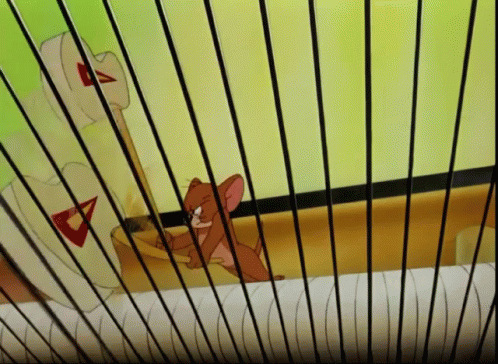 Tom And Jerry Piano GIF - Tom And Jerry Piano Angry GIFs