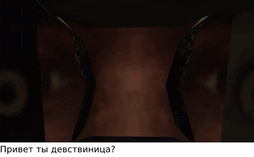 a screenshot of a video game with the words " привет ты девственница "