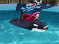 an inflatable killer whale with a pirate hat on it