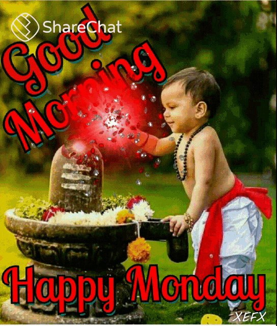 a picture of a baby with the words good morning happy monday written on it