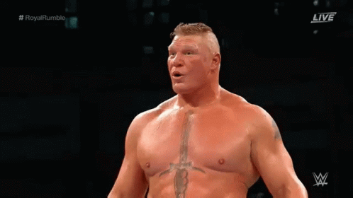 Brock Lesnar Royal Rumble GIF - Brock Lesnar Royal Rumble Big Boy GIFs