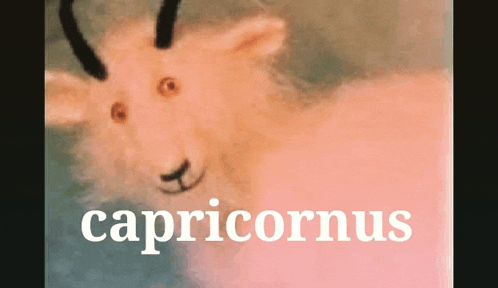 a pink goat with horns is on a pink background with the word capricornus .