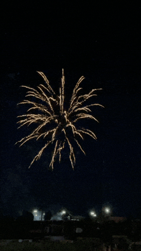Fireworks Congratulations Meme