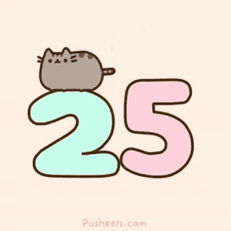 a cat is laying on top of the number 25
