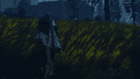 a blurry picture of a forest at night with a lantern in the foreground