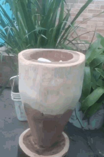 a wooden vase is sitting in front of a plant