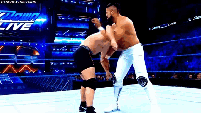 two men are wrestling in a ring with the words down live on the screen