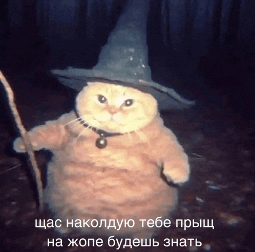a cat wearing a witch hat and holding a cane