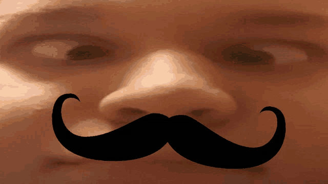 a man with a fake mustache on his face