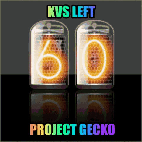 Pro Ject Gecko Lasting GIF - Pro Ject Gecko Lasting GIFs