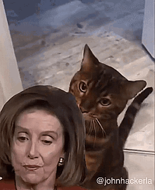 a cat is sitting on top of a woman 's head and looking at the camera .