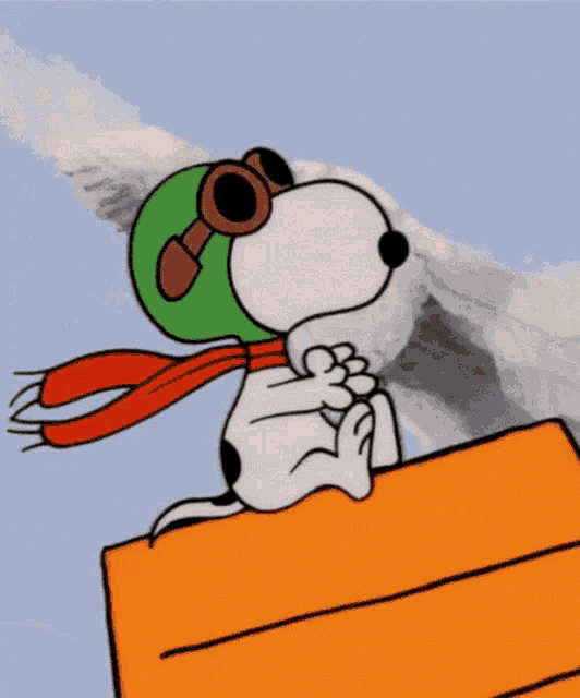 a cartoon of snoopy wearing a green hat