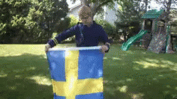 Sweden Flag GIF - Swedish Sweden Flag GIFs