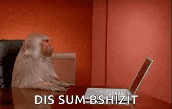 a baboon is sitting at a desk with a laptop computer .