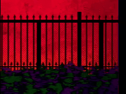 a woman 's foot is standing in front of a fence with a red sky in the background .