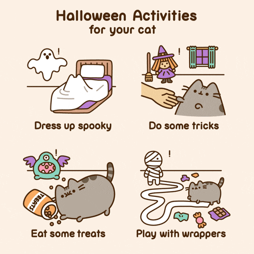 a poster showing halloween activities for your cat