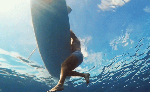 Harry Styles Surf GIF - Harry Styles Surf Shirtless GIFs