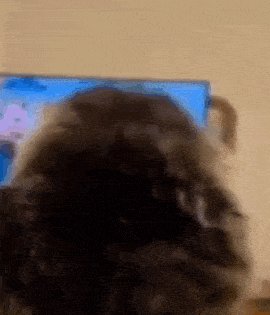 a close up of a person 's head in front of a television screen .