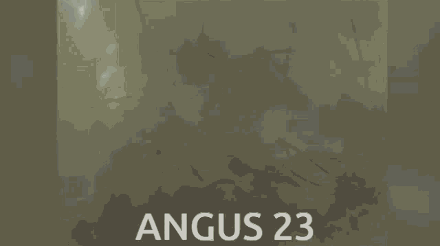 Angus23 Crab GIF - Angus23 Angus 23 GIFs