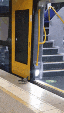 a pigeon sits on the side of a bus