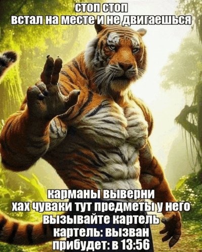 a picture of a tiger with a caption that says stop stop