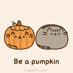 Pusheen Be A Pumpkin GIF