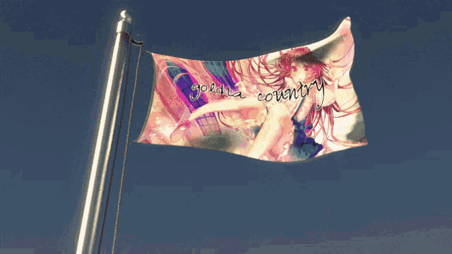 a colorful flag with the words gonna country written on it