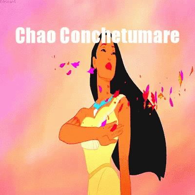 Chao Conchetumadre Pocahontas GIF - Chao Conchetumadre Pocahontas GIFs