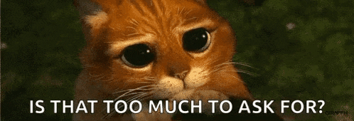a cat with big eyes is looking at the camera with the words `` is that too much to ask for '' written below it .