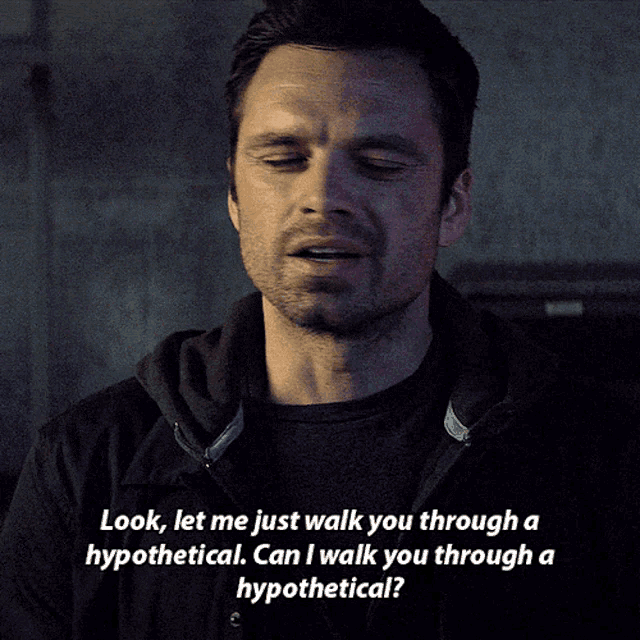 a man says " look let me just walk you through a hypothetical "