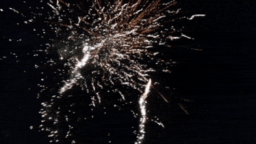 a fireworks display is going off in the dark
