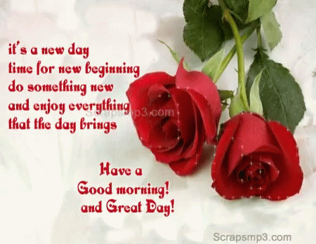 Have A Great Day Good Morning GIF - Have A Great Day Good Morning Red Roses GIFs
