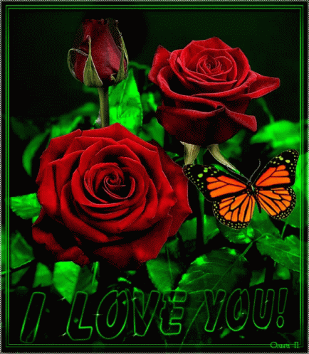 I Love You Ily GIF - I Love You Ily Red Roses GIFs
