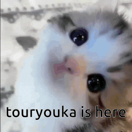 a close up of a cat 's face with the words touryouka is here above it