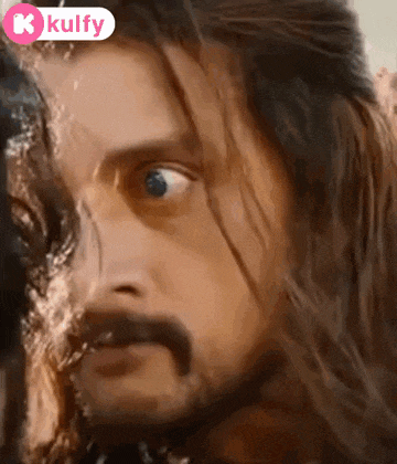 a close up of a man 's face with a beard looking at the camera .