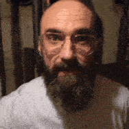 a bald man with a beard wearing glasses
