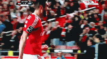 Slb Sl Benfica GIF