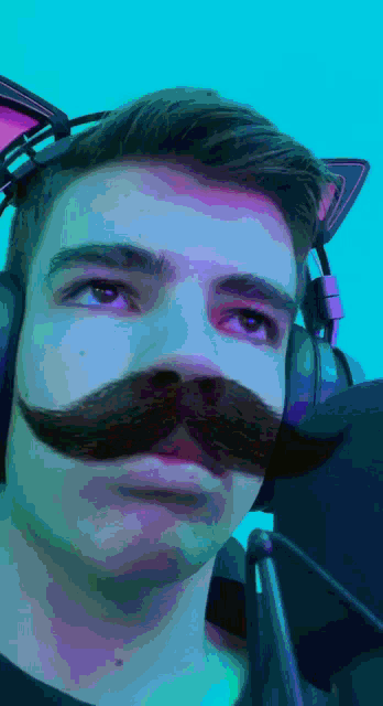 a man with a fake mustache and cat ears on his head