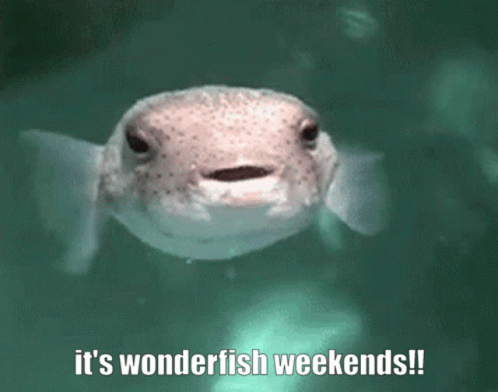 Wonderfish Rhymetimeguy GIF - Wonderfish Rhymetimeguy Weekends GIFs