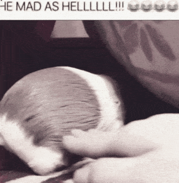 a black and white photo of a cat with the caption he mad as hell !!!