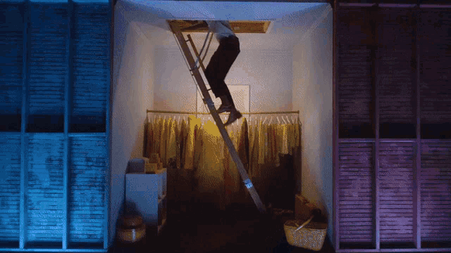 a person on a ladder in a room with clothes hanging on a rack