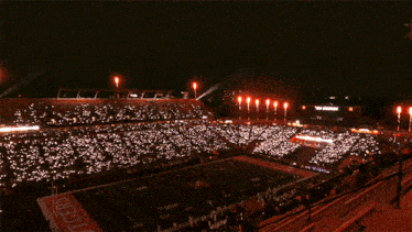 a tigers football field with fireworks going off in the background