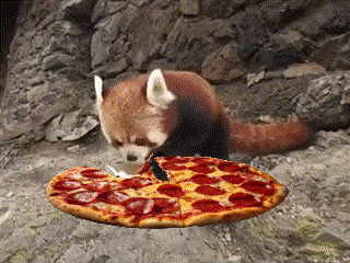 a red panda is eating a pepperoni pizza with a knife