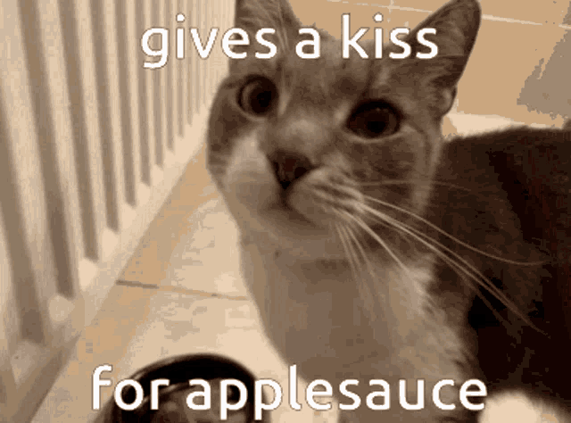 Sam And Michelle Applesauce GIF - Sam And Michelle Applesauce Kiwi GIFs