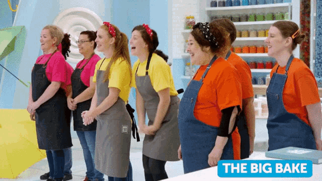 a group of women wearing aprons are standing in a line with the big bake written on the bottom