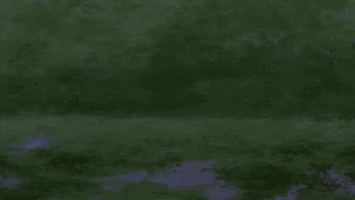 a group of anime characters are playing in the grass and one of them is laying on the ground
