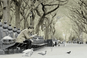a man is sitting on a bench in a park feeding pigeons while looking at his cell phone .