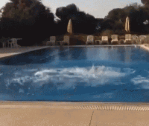 Pool Reverse GIF - Pool Reverse Splash GIFs
