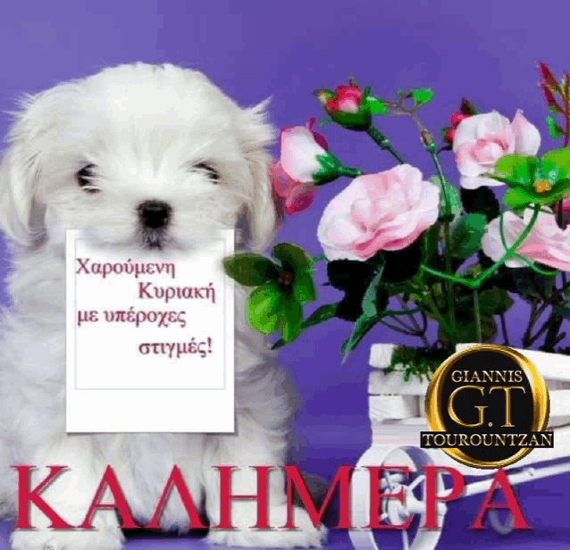 a picture of a puppy holding a sign that says kaahma on it