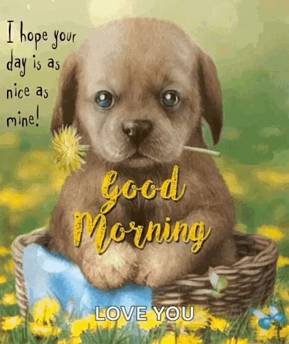 Good Morning Puppy GIF - Good Morning Puppy Cute GIFs